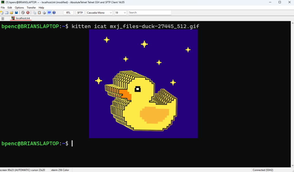 kitten icat displaying an image in AbsoluteTelnet/SSH 14.05