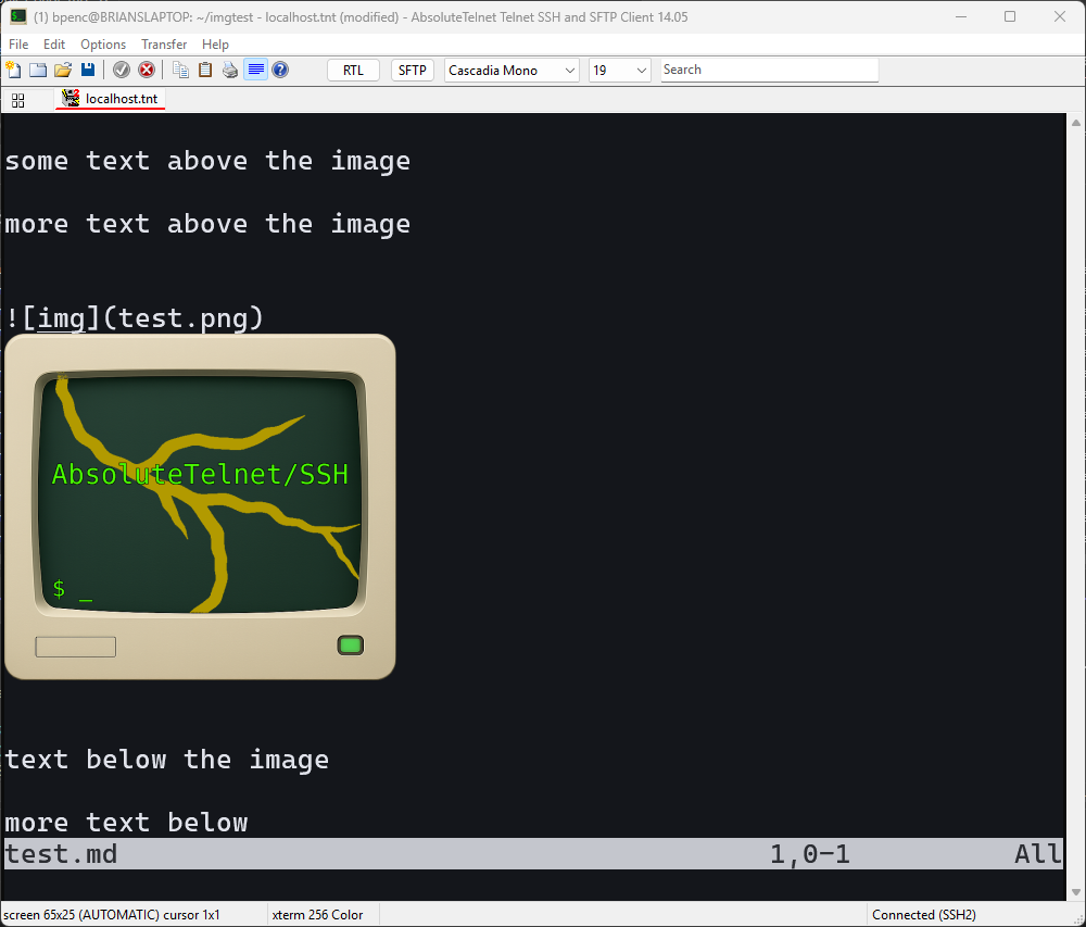 neovom with embedded image on AbsoluteTelnet/SSH 14.05